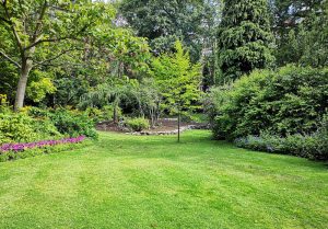 Optimiser l'expérience du jardin à Criteuil-la-Magdeleine
